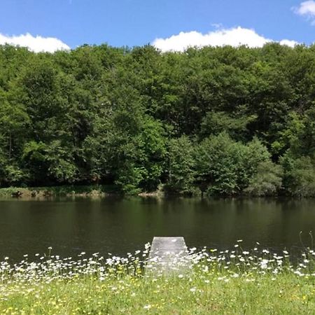 Appartement Aux Sources De La Chabanne Saint-Hilaire-les-Courbes Екстериор снимка