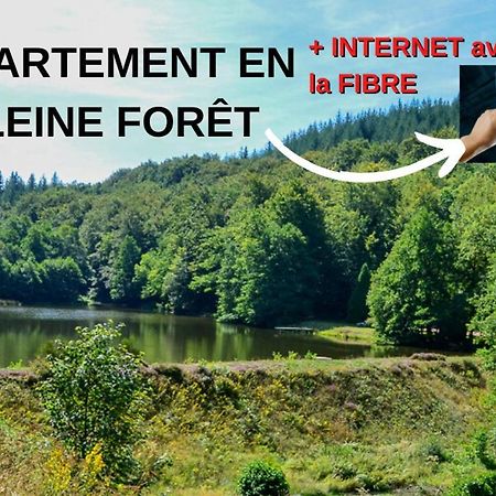 Appartement Aux Sources De La Chabanne Saint-Hilaire-les-Courbes Екстериор снимка