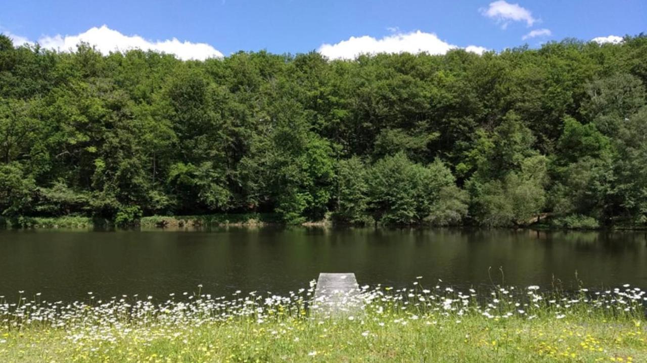 Appartement Aux Sources De La Chabanne Saint-Hilaire-les-Courbes Екстериор снимка